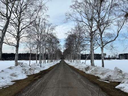 桃浜どうぶつ病院