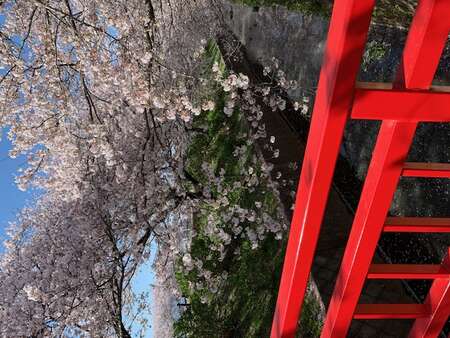 桃浜どうぶつ病院